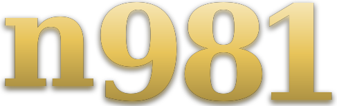 n981 logo